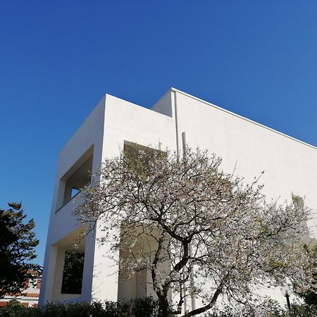 Oltre Le Dune Murta Maria Buitenkant foto